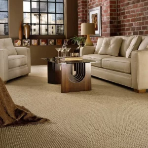 Living room Carpet | Valley Carpet